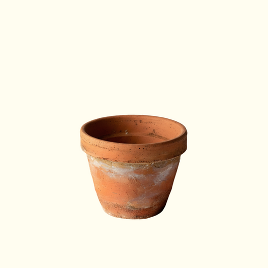 Terracotta Pot