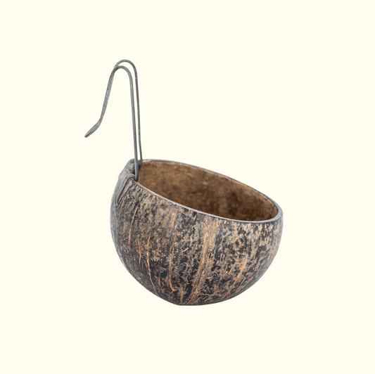 Coconut Shell Feeder