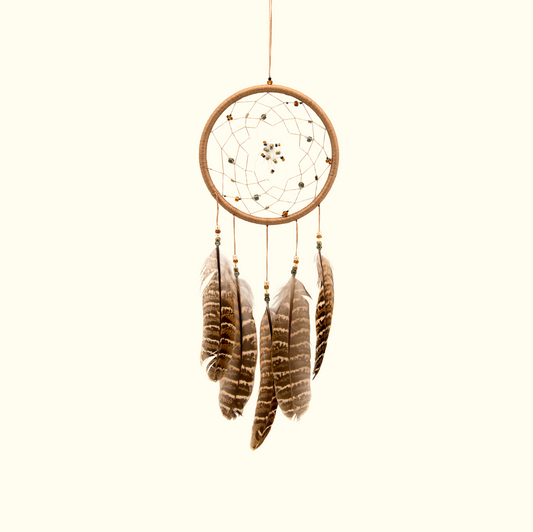 Dreamcatcher