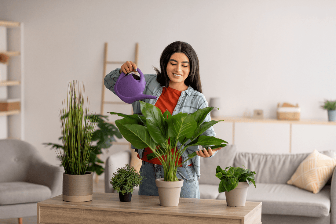 Top 7 Indoor Plants That Purify Your Air Naturally