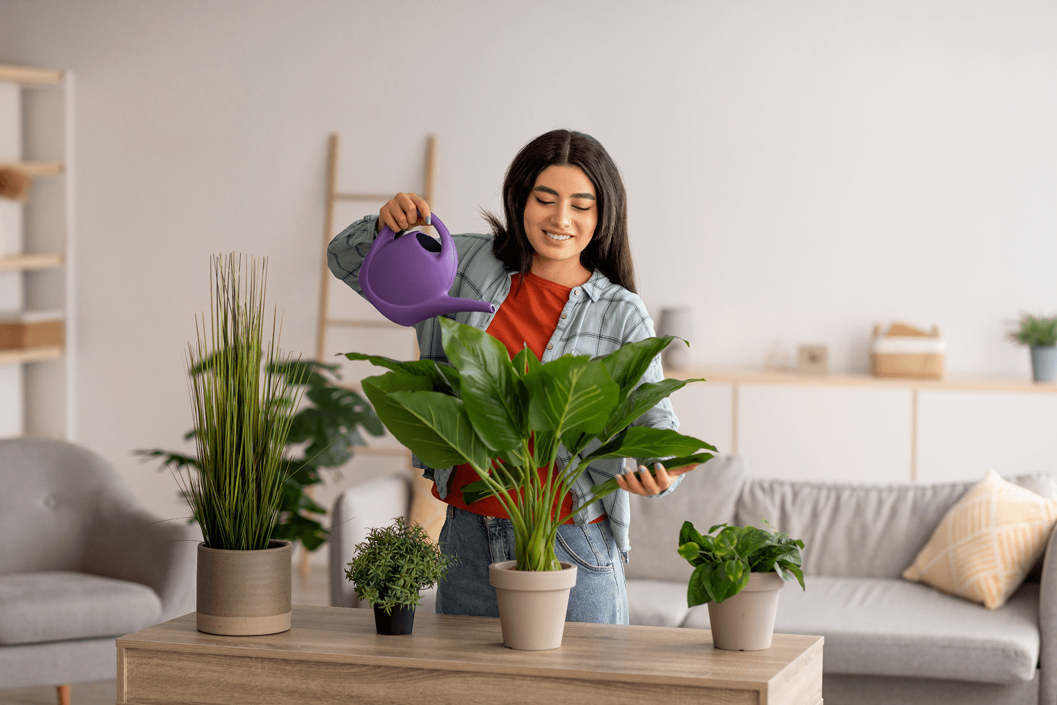 Top 7 Indoor Plants That Purify Your Air Naturally