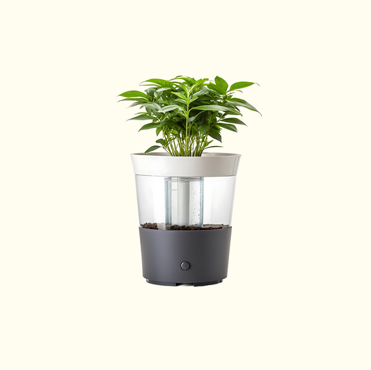 Self-Watering Pot