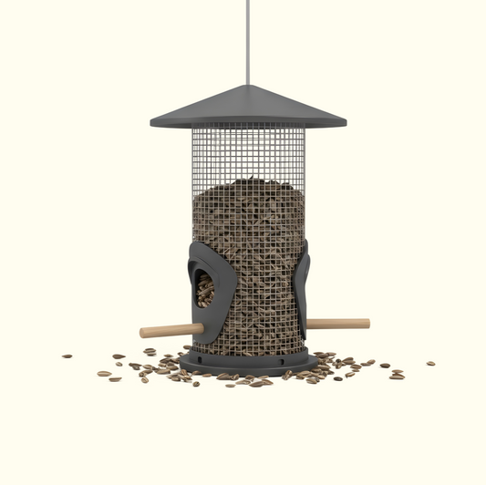 Hanging Bird Feeder