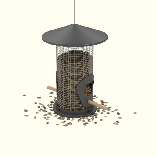 Hanging Bird Feeder