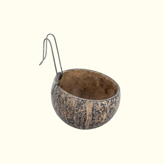 Coconut Shell Feeder