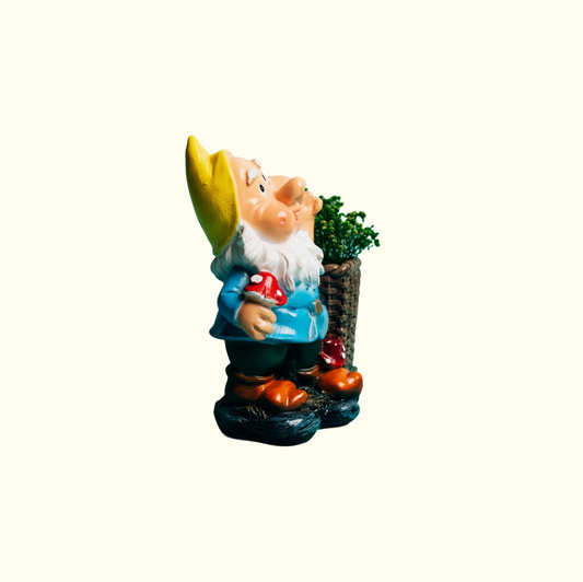 Mini Garden Gnomes