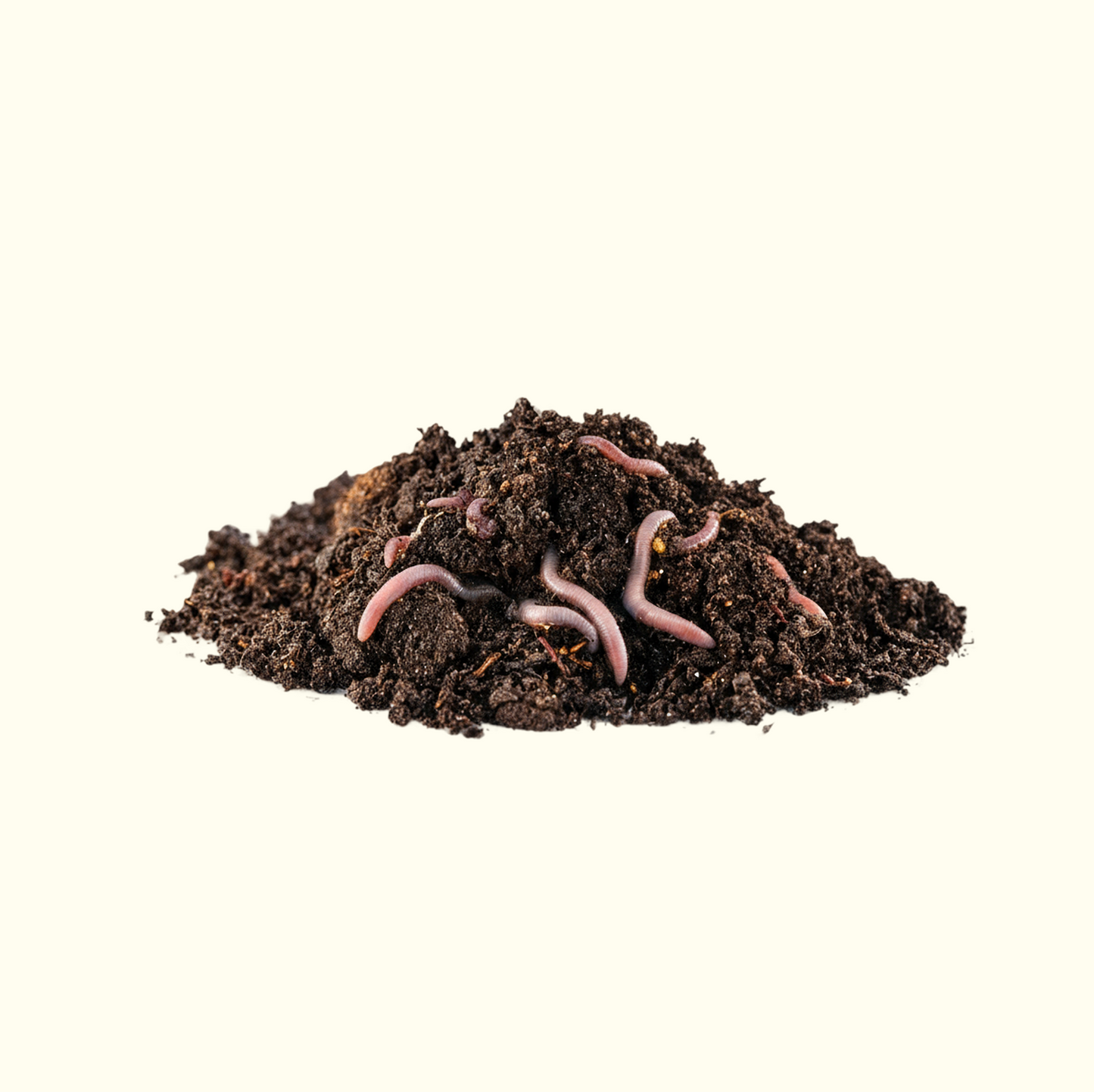 Vermicompost