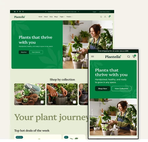 صورة معاينة Plantella